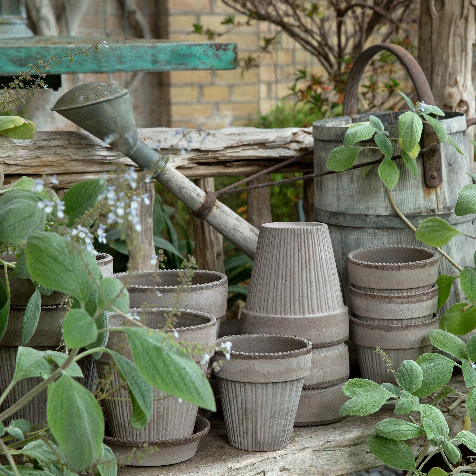 Vaso da fiori Simona 16 cm, Grigio Bergs Potter