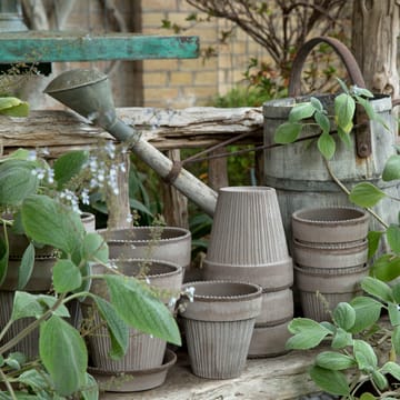 Vaso da fiori Simona 16 cm - Grigio - Bergs Potter