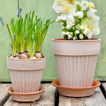 Vaso da fiori Simona Ø 18 cm - Rosa - Bergs Potter