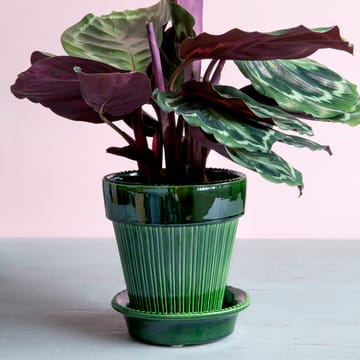 Vaso da fiori smaltato Simona Ø 16 cm - Verde - Bergs Potter