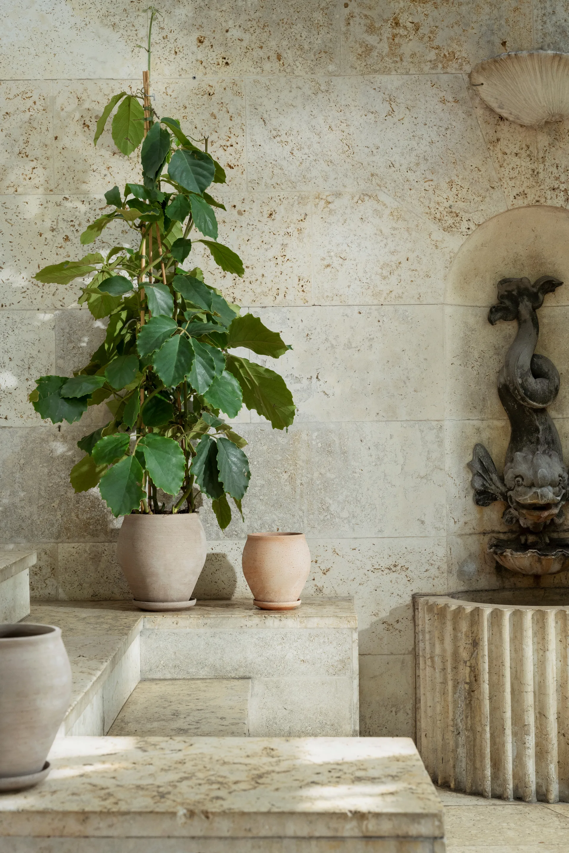 Vaso Delphi con sottovaso, 2 pezzi, Grigio, Ø22 cm, alto Bergs Potter