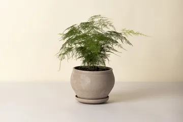 Vaso Delphi con sottovaso, 2 pezzi - Grigio, Ø24 cm, basso - Bergs Potter