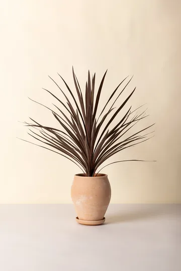 Vaso Delphi con sottovaso, 2 pezzi - Rosa, Ø22 cm, alto - Bergs Potter