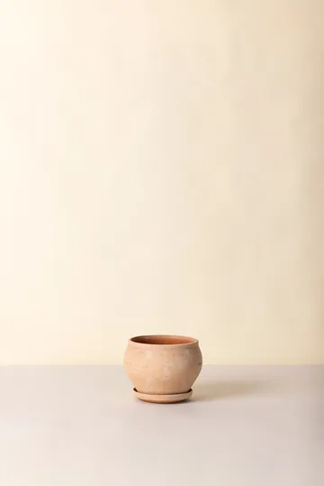 Vaso Delphi con sottovaso, 2 pezzi - Rosa, Ø24 cm, low - Bergs Potter