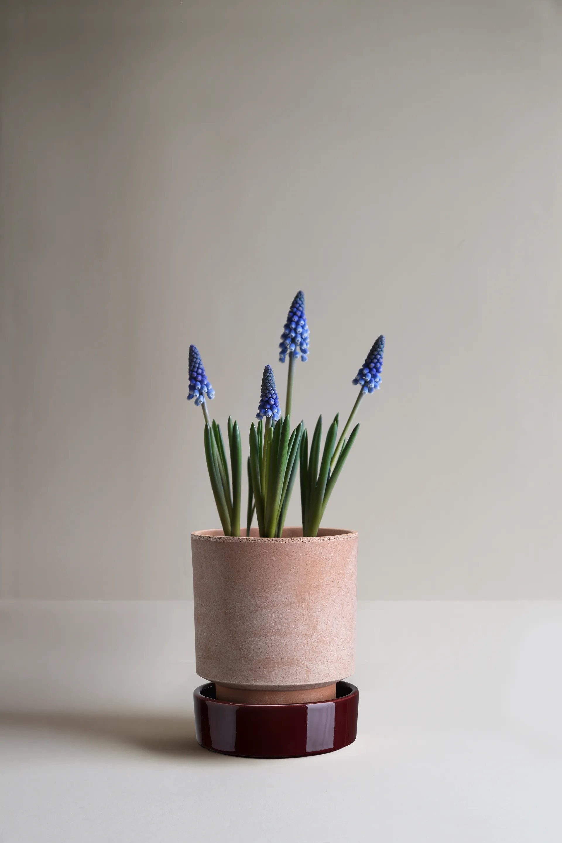 Vaso Hoff, Ø14 cm, Raw Rosa-Deep Burgundy Bergs Potter