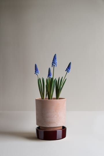 Vaso Hoff - Ø14 cm, Raw Rosa-Deep Burgundy - Bergs Potter