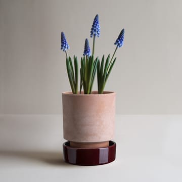 Vaso Hoff - Ø16 cm, Raw Rosa-Deep Burgundy - Bergs Potter