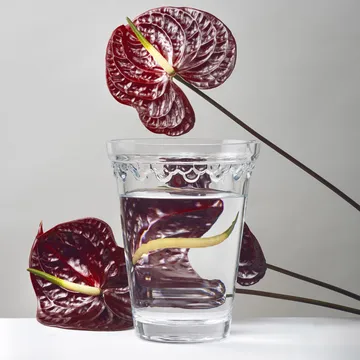 Vaso Københavner - Trasparente, 21 cm - Bergs Potter