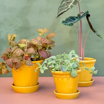 Vaso Köpenhamn smaltato - Giallo, Ø16 cm - Bergs Potter