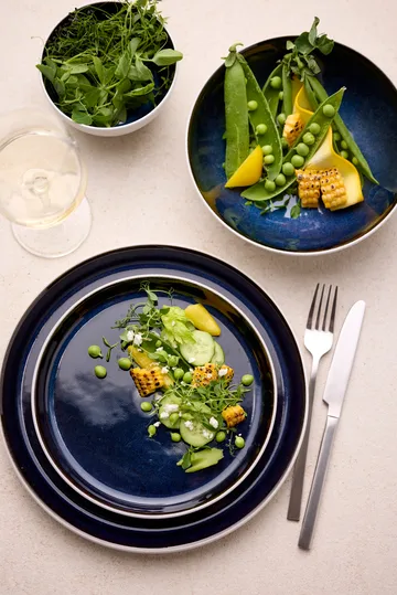 Ciotola Bitz Gastro Ø12 cm - Bianco-blu scuro - Bitz