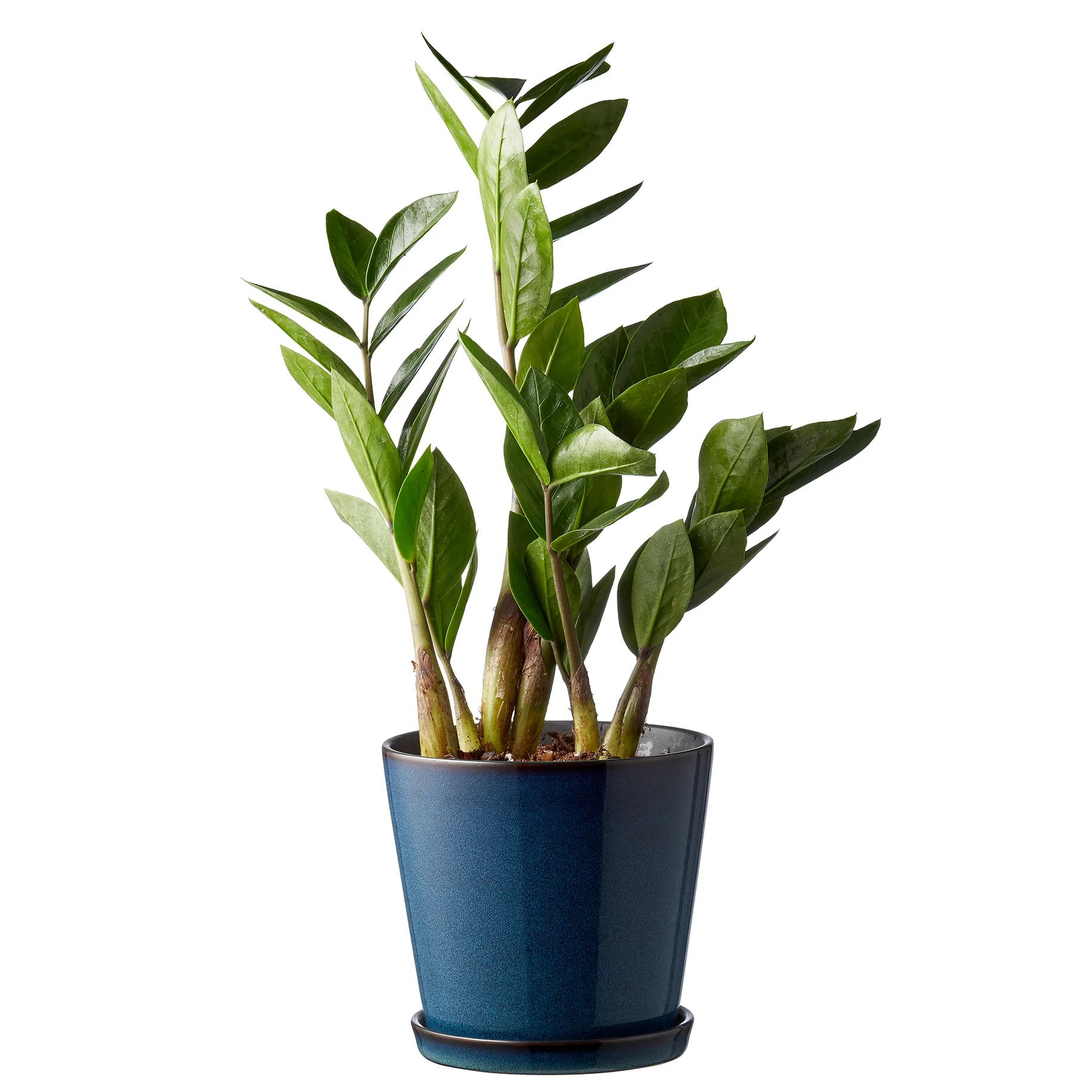 Portafiori con piattino Bitz Ø 14 cm, blu scuro-nero Bitz