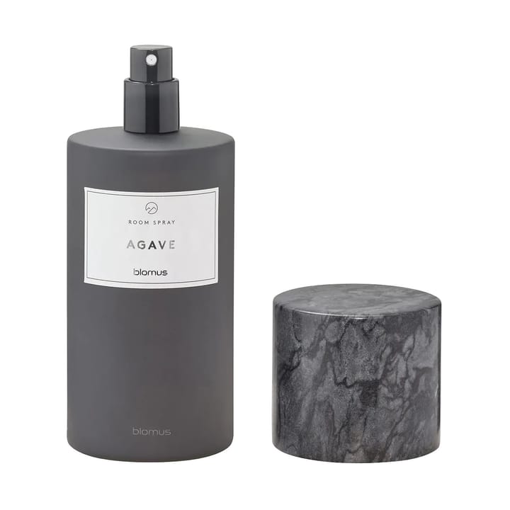 Spray per ambienti Frabli 100 ml, Agave Magnet Blomus