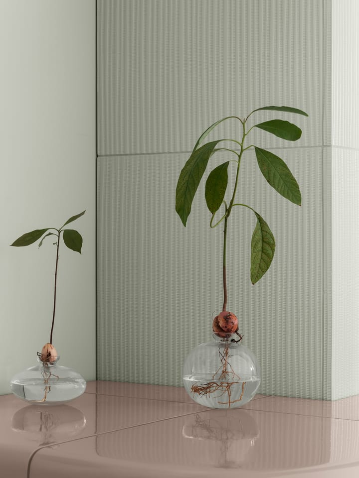 Vaso Avo 14,5 cm, Trasparente Blomus
