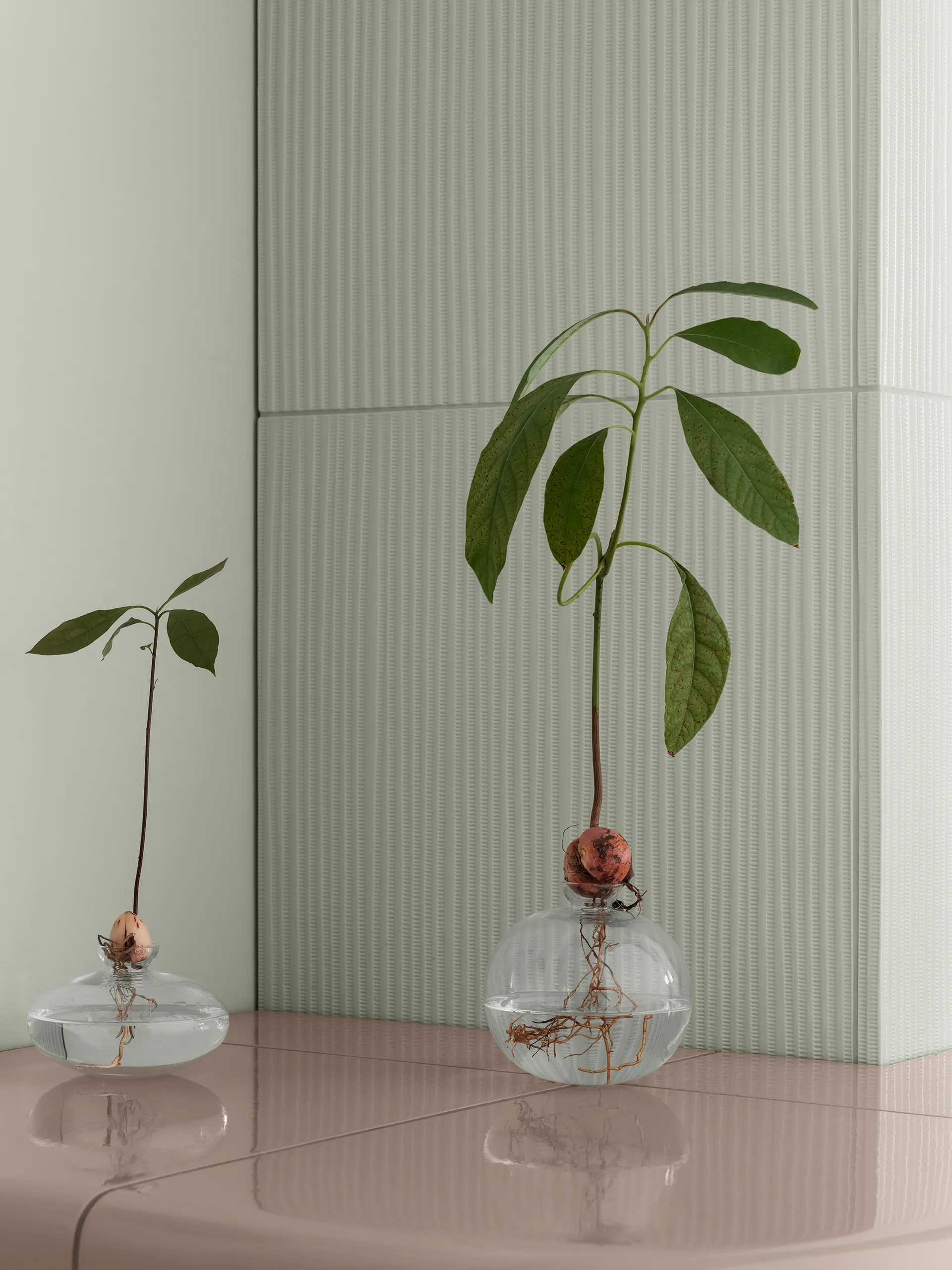 Vaso Avo 9,5 cm, Trasparente blomus