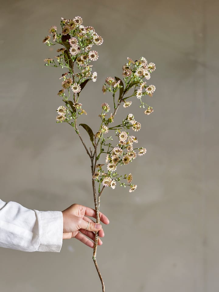 Fiore cerato Stelo , Bianco Bloomingville
