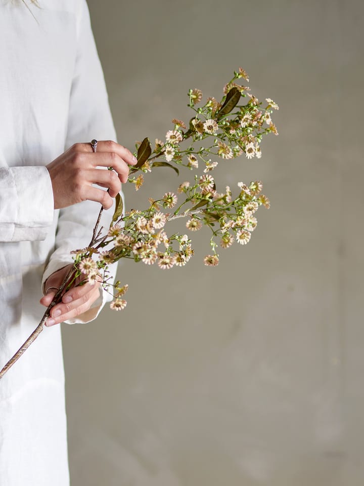 Fiore cerato Stelo , Bianco Bloomingville