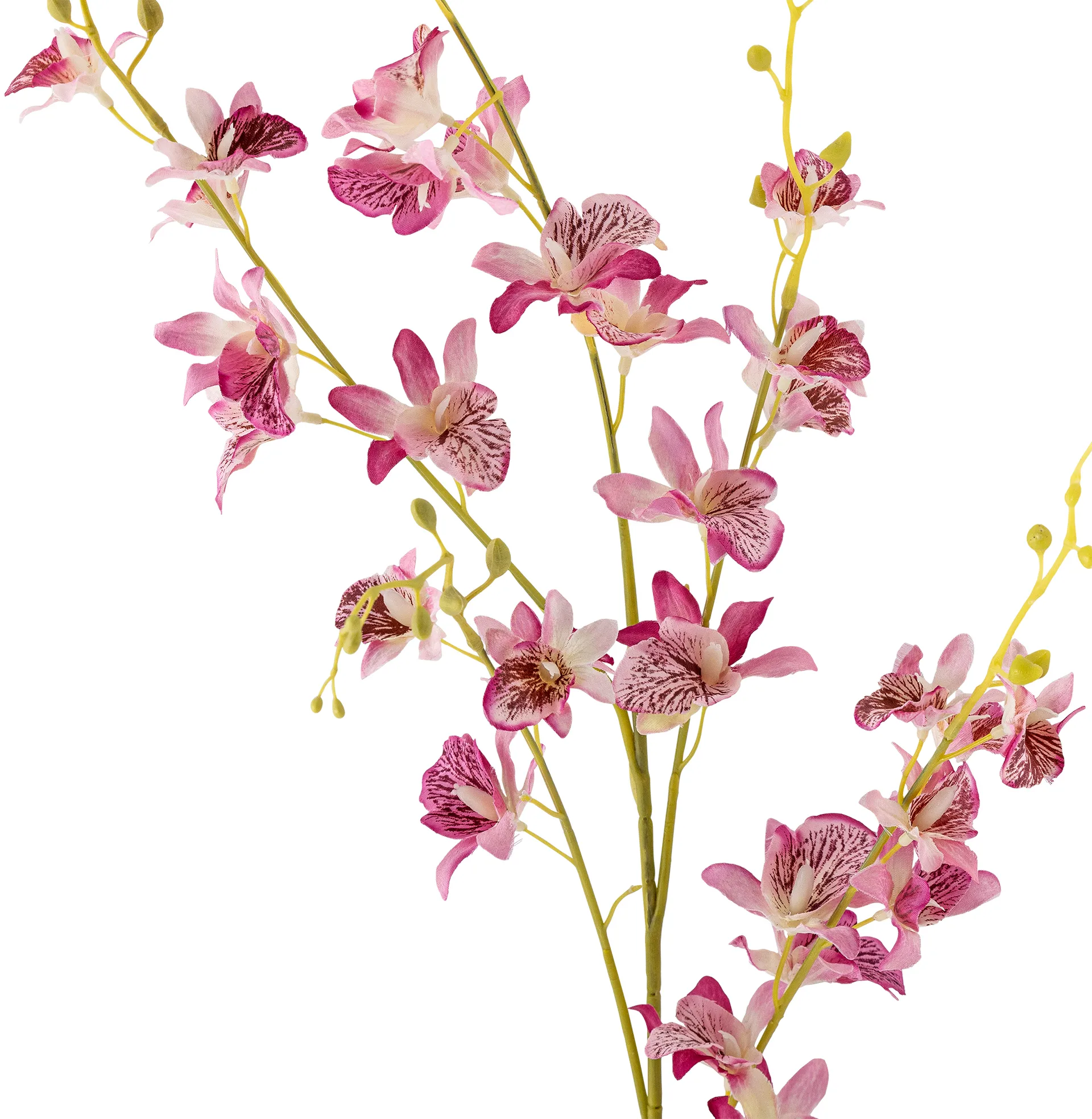 Orchidea di cera Stem, Rosa Bloomingville