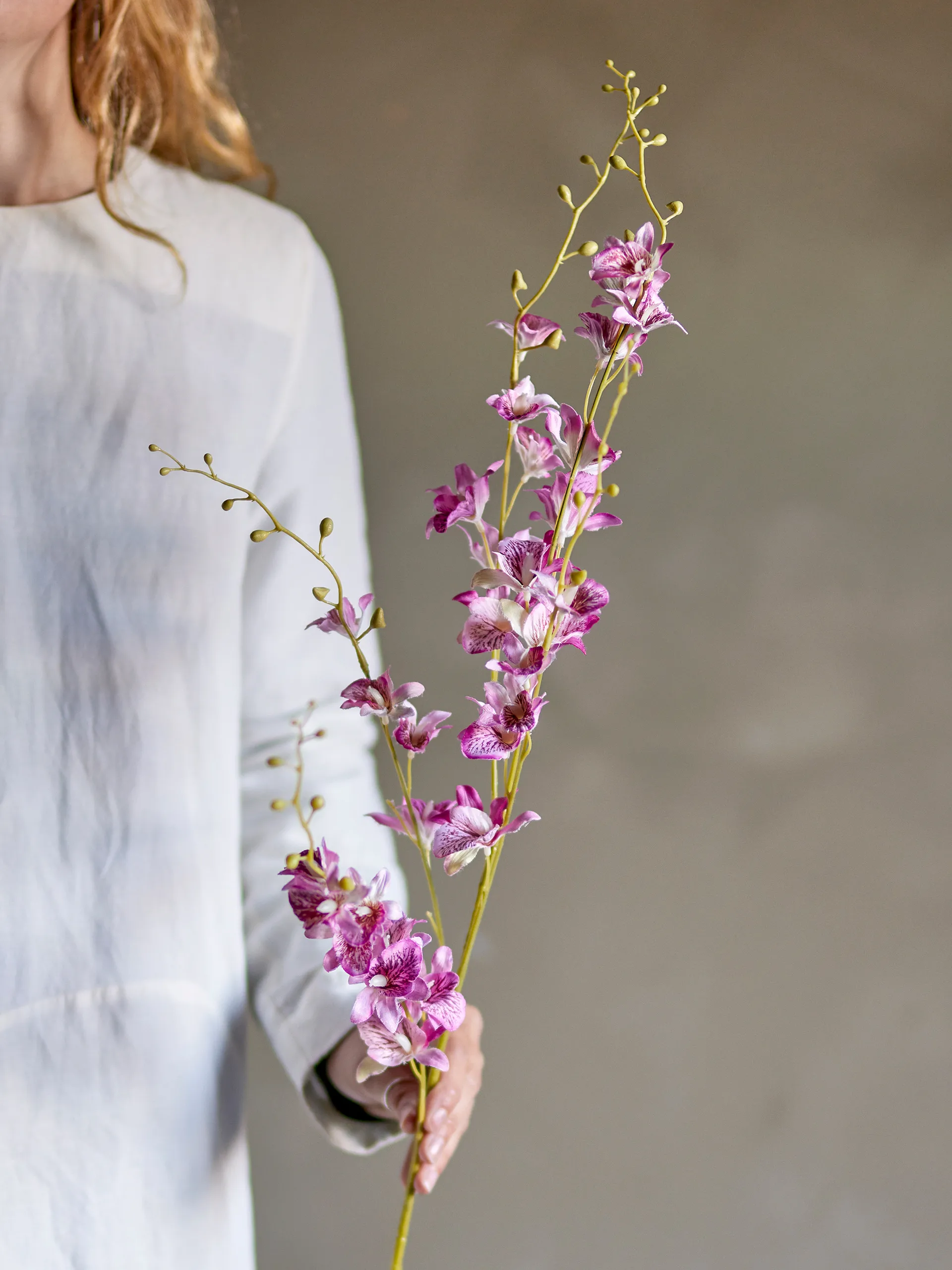 Orchidea di cera Stem, Rosa Bloomingville