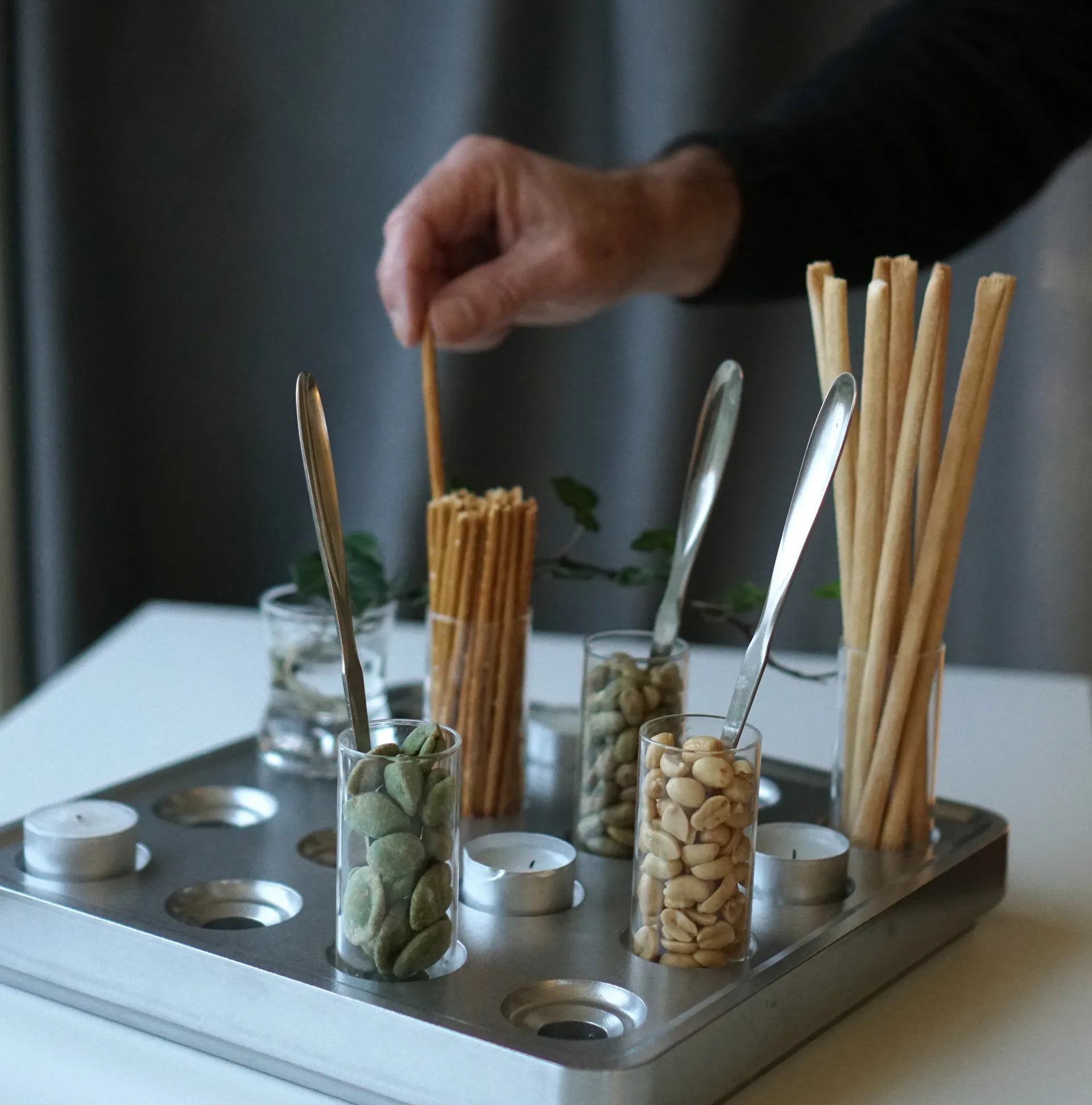 Palla Stumpastaken lucidata, Grande Born In Sweden