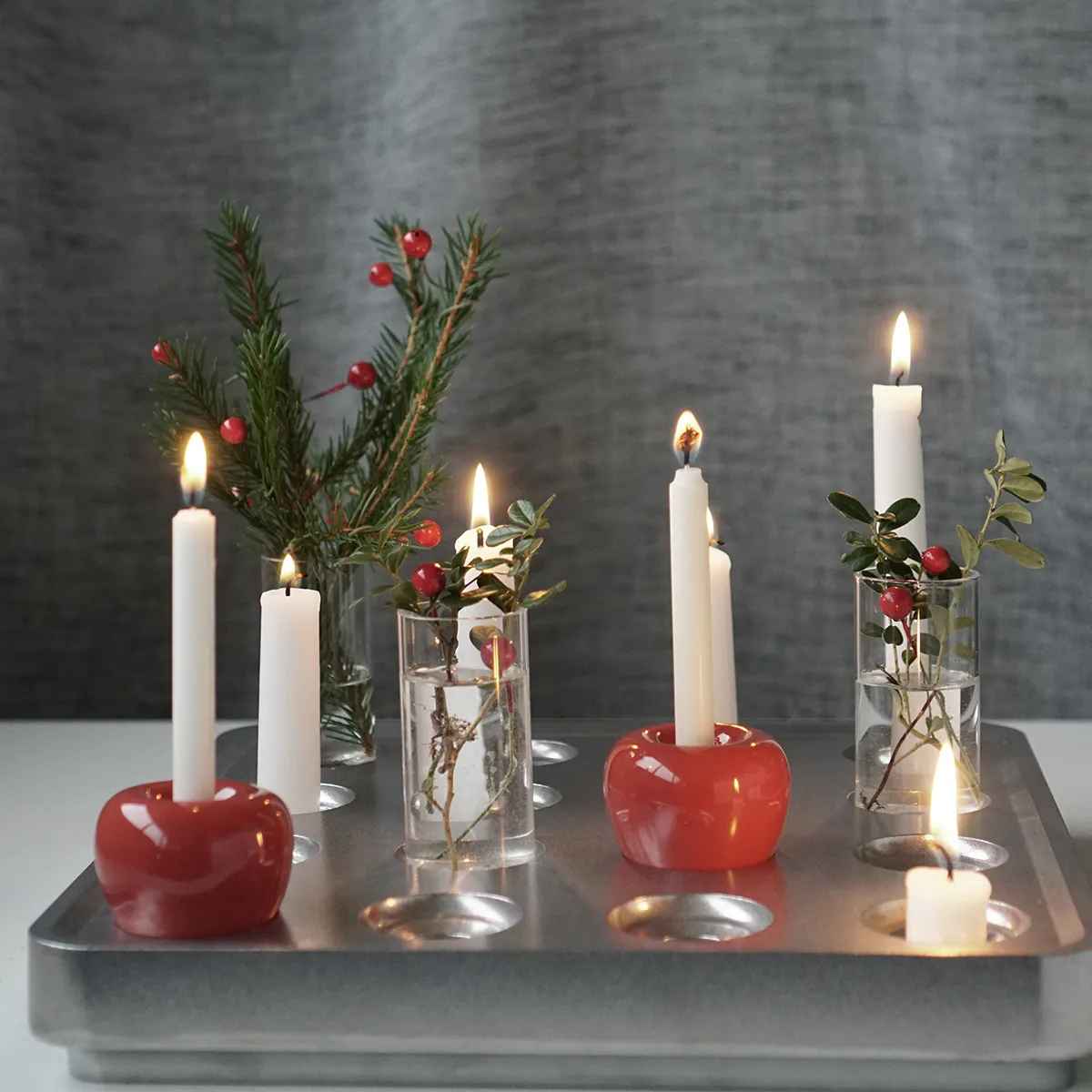 Palla Stumpastaken lucidata, Grande Born In Sweden