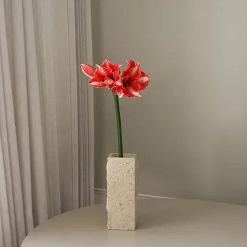 Amaryllis fiore artificiale - Rosso scuro, 72 cm - Botané
