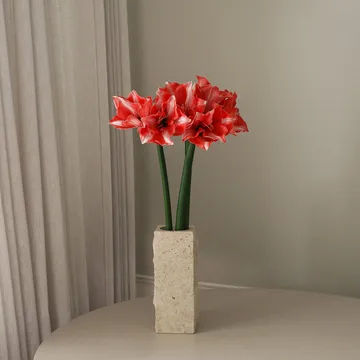 Amaryllis fiore artificiale - Rosso scuro, 72 cm - Botané