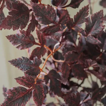 Burgundy Plum Leaves bouquet artificiale - Rosso, 85 cm, 1 pz - Botané