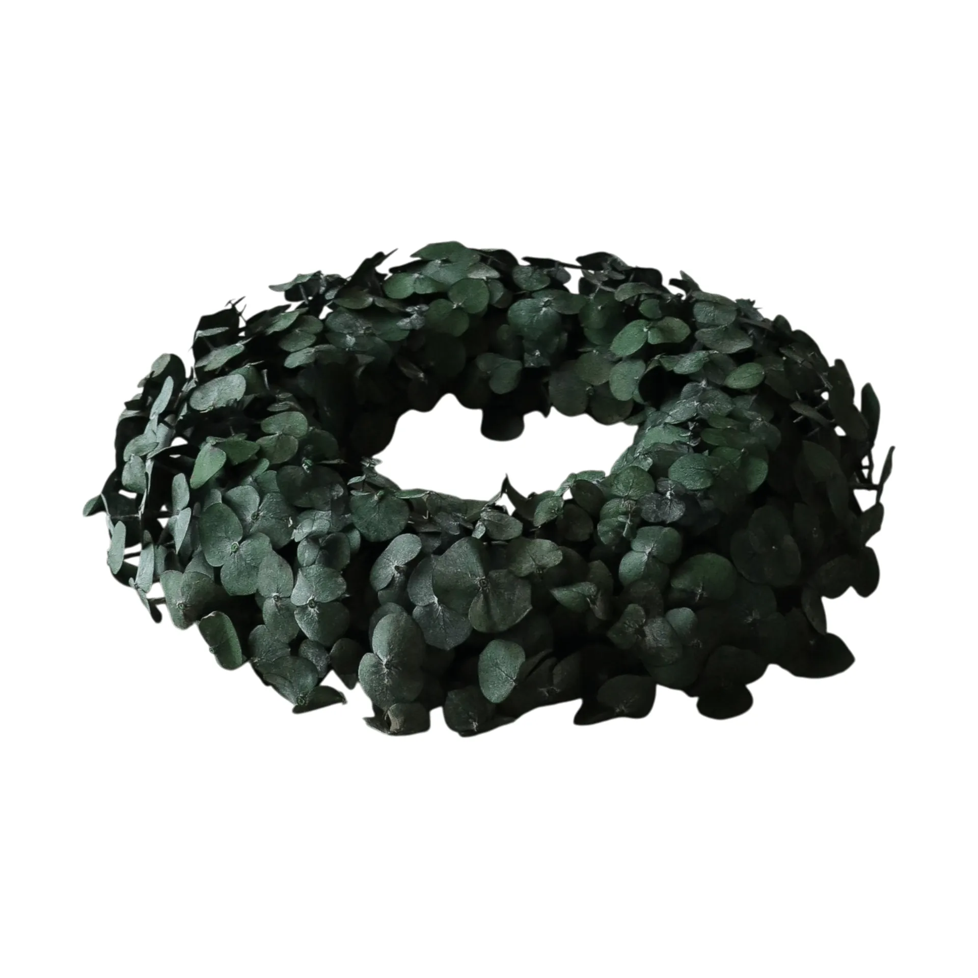 Eucalyptus Wreath ghirlanda, Green, Ø40 cm Botané
