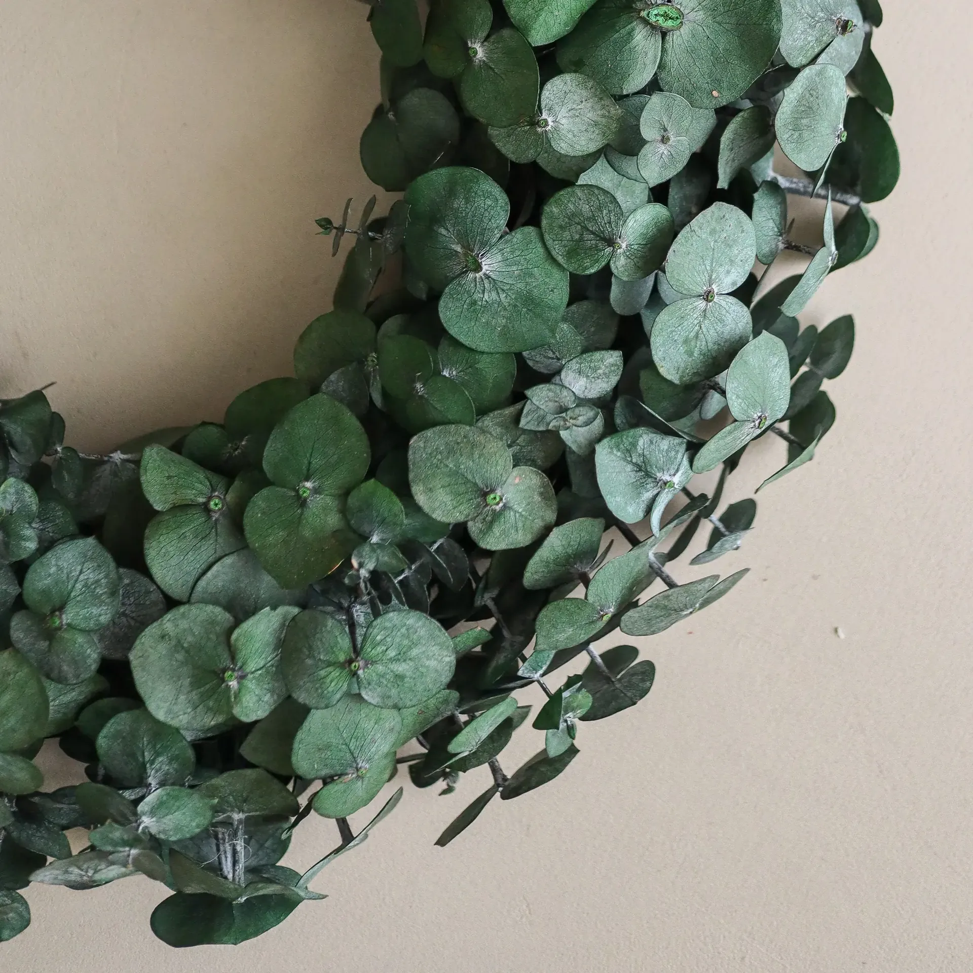 Eucalyptus Wreath ghirlanda, Green, Ø40 cm Botané