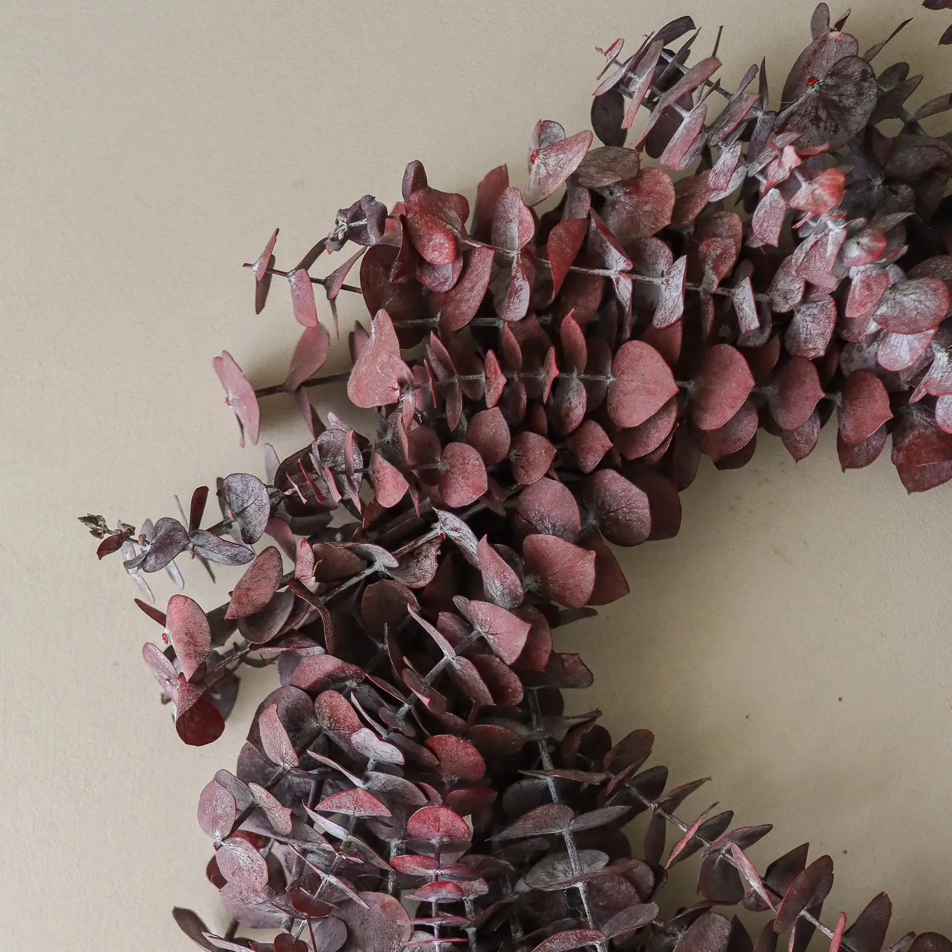 Eucalyptus Wreath ghirlanda, Rosso scuro, Ø40 cm Botané