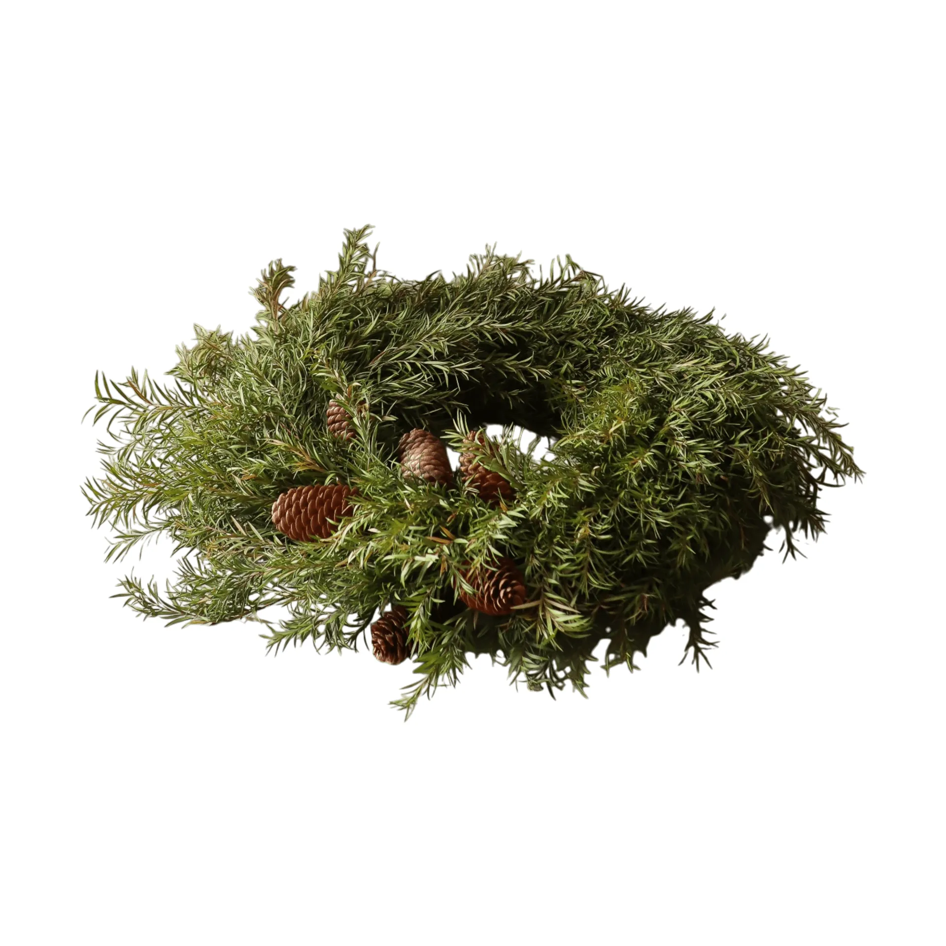 Evergreen Pine Wreath ghirlanda, Ramo di abete, Ø40 cm Botané