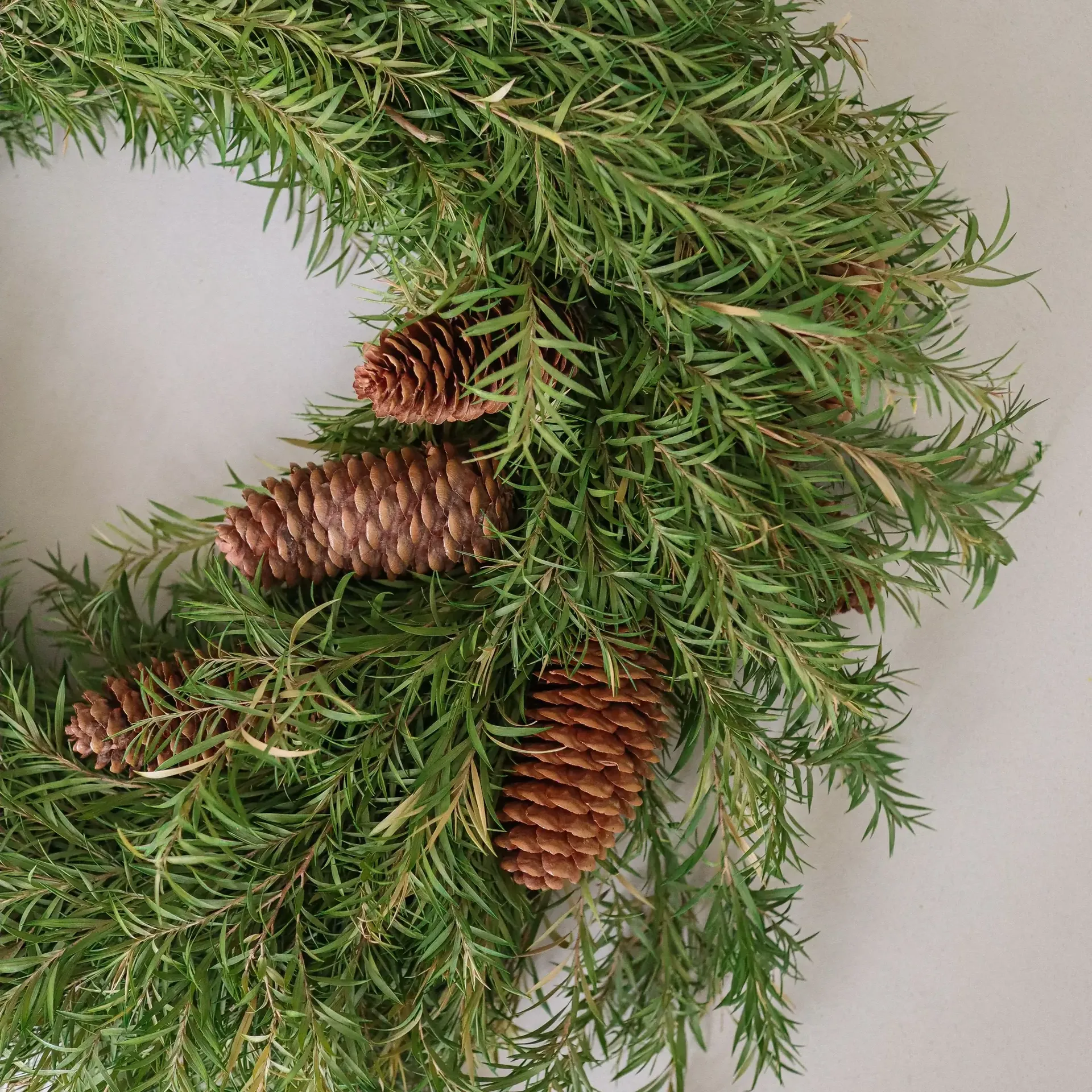 Evergreen Pine Wreath ghirlanda, Ramo di abete, Ø40 cm Botané