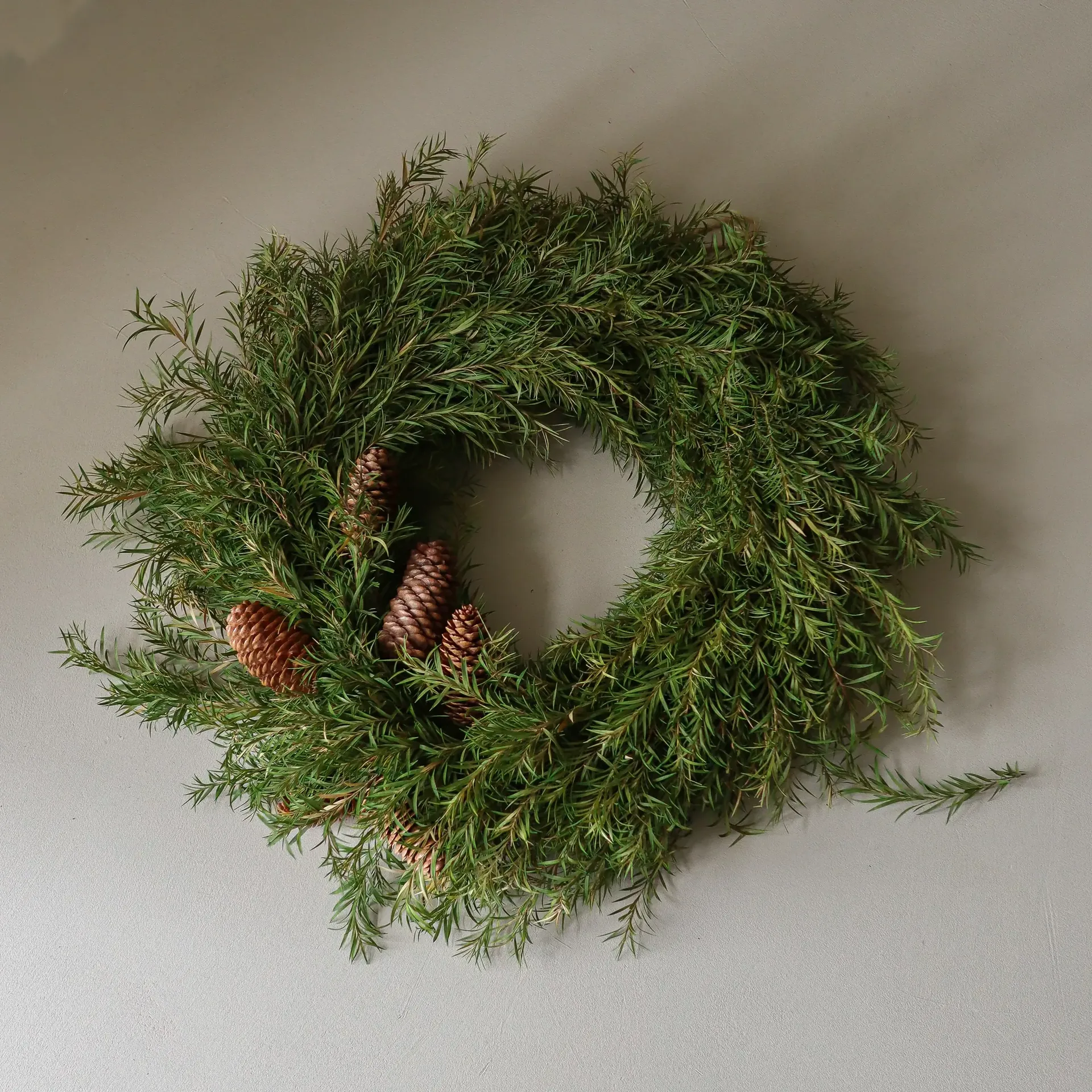 Evergreen Pine Wreath ghirlanda, Ramo di abete, Ø40 cm Botané