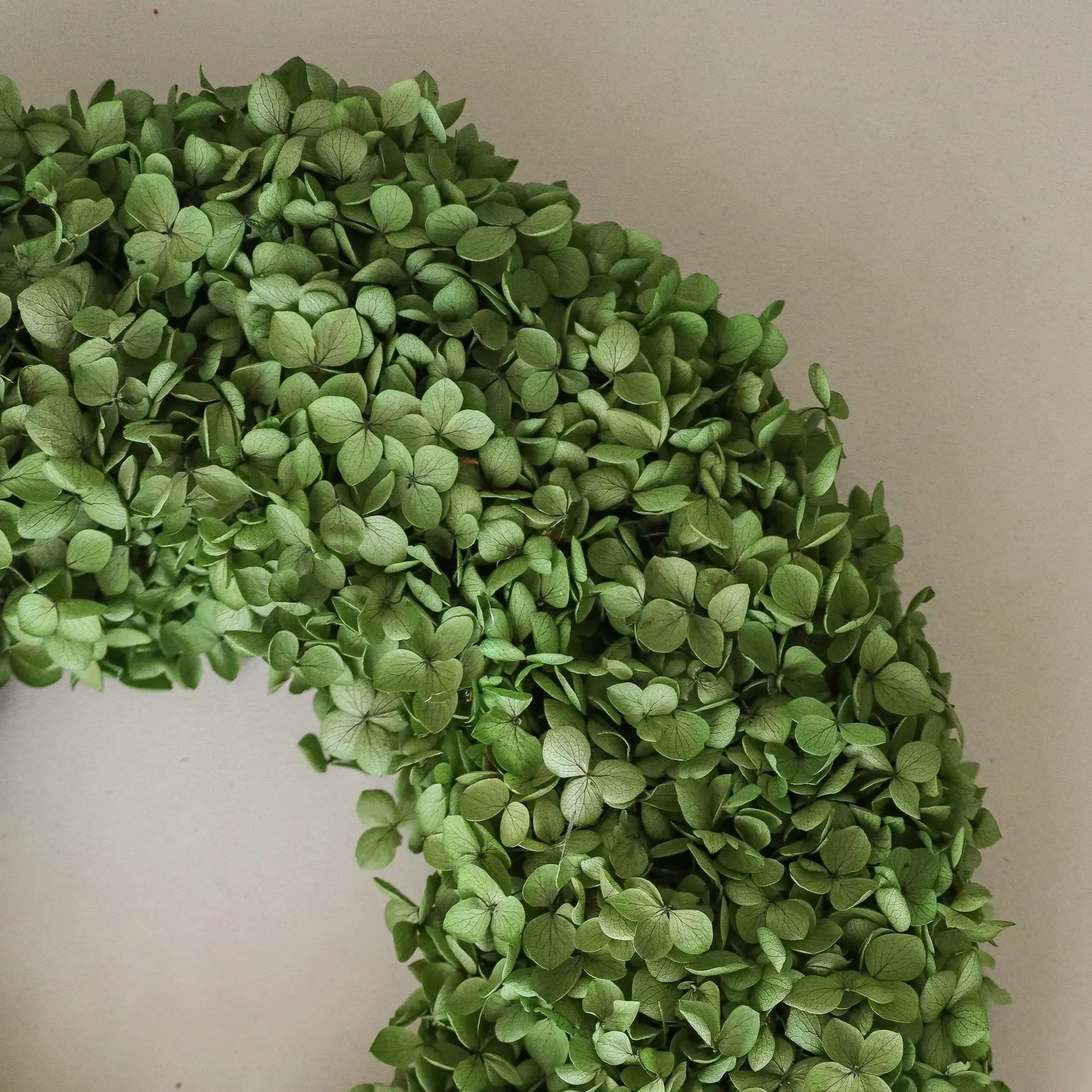Hortensia Wreath ghirlanda, Green, Ø40 cm Botané