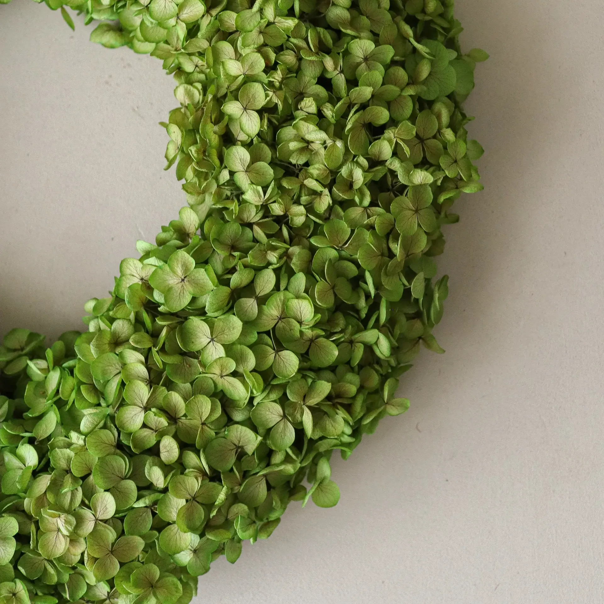 Hortensia Wreath ghirlanda, Verde chiaro, Ø40 cm Botané