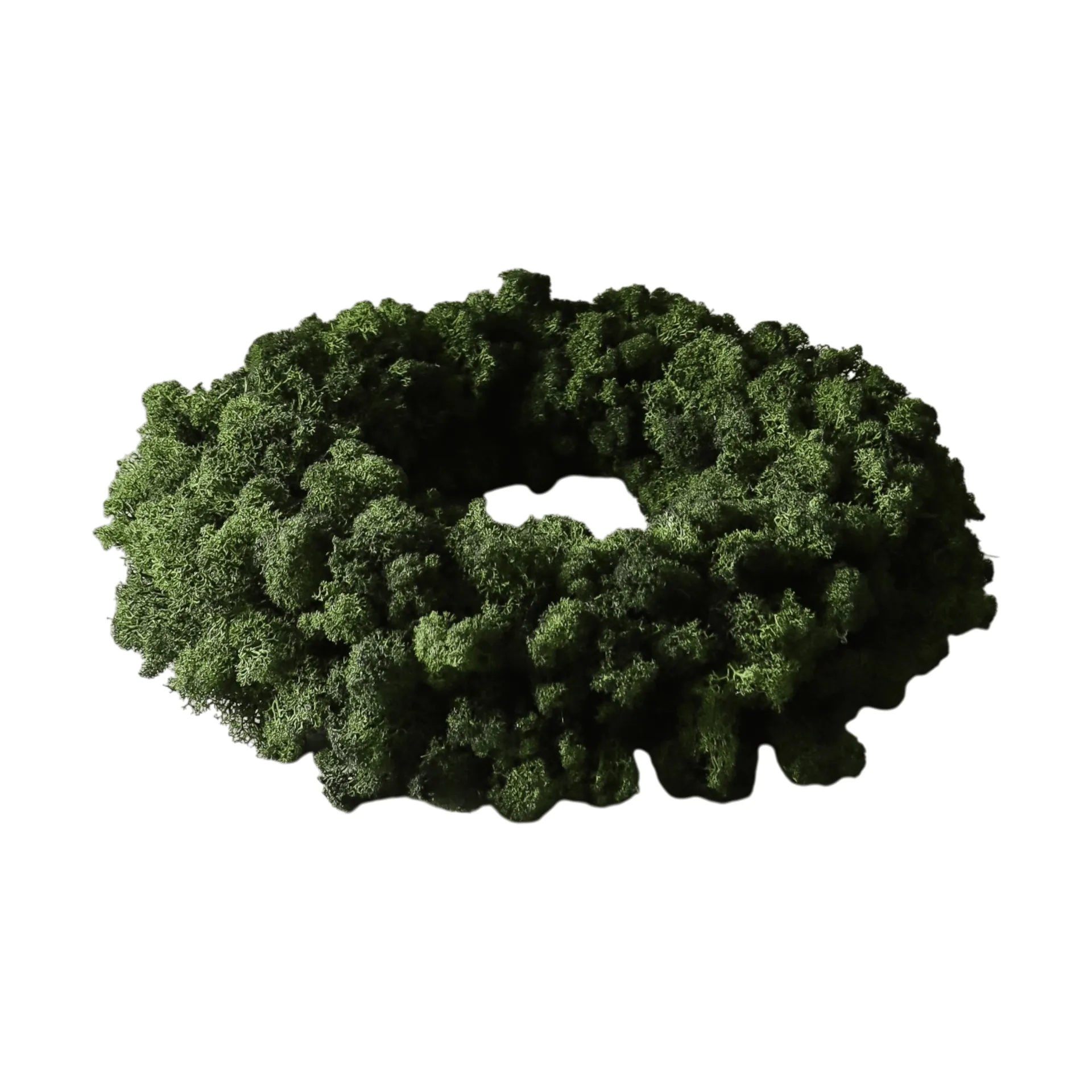 Moss Wreath corona di muschio, Green, Ø40 cm Botané