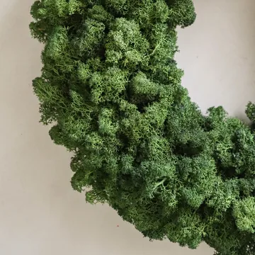 Moss Wreath corona di muschio - Green, Ø40 cm - Botané