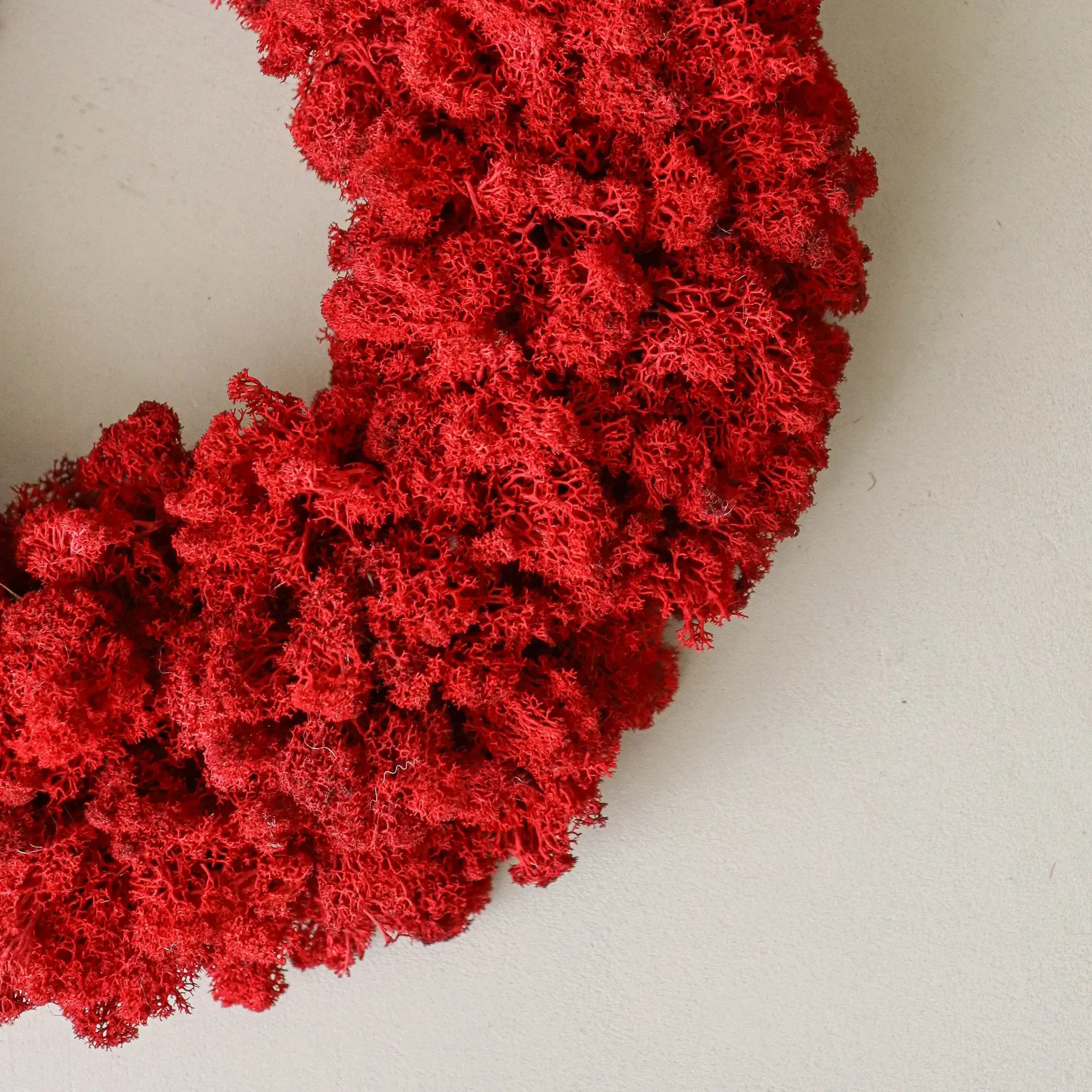 Moss Wreath corona di muschio, Red, Ø40 cm Botané