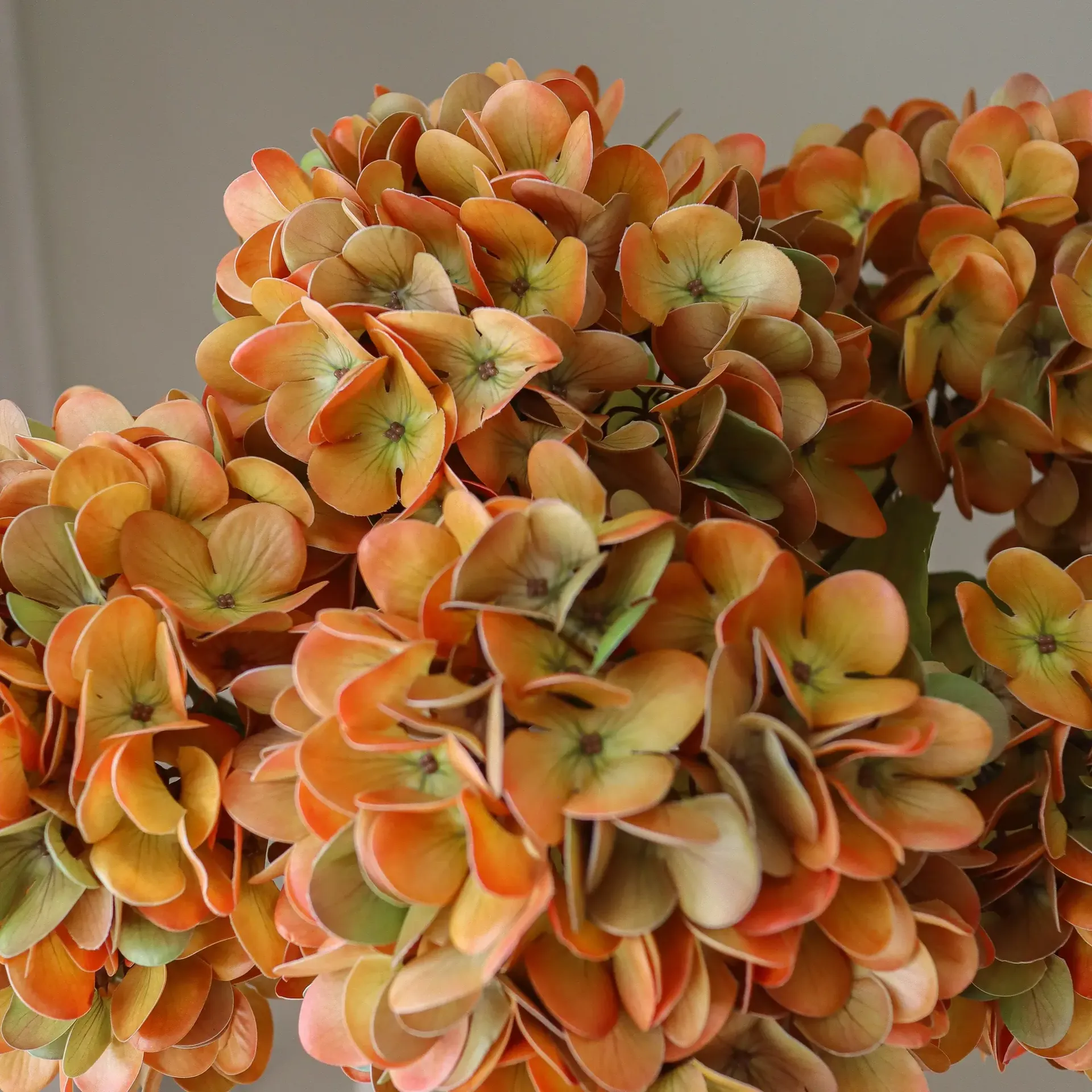 Ortensia bouquet artificiale, Arancione, 60 cm, 6 pz Botané