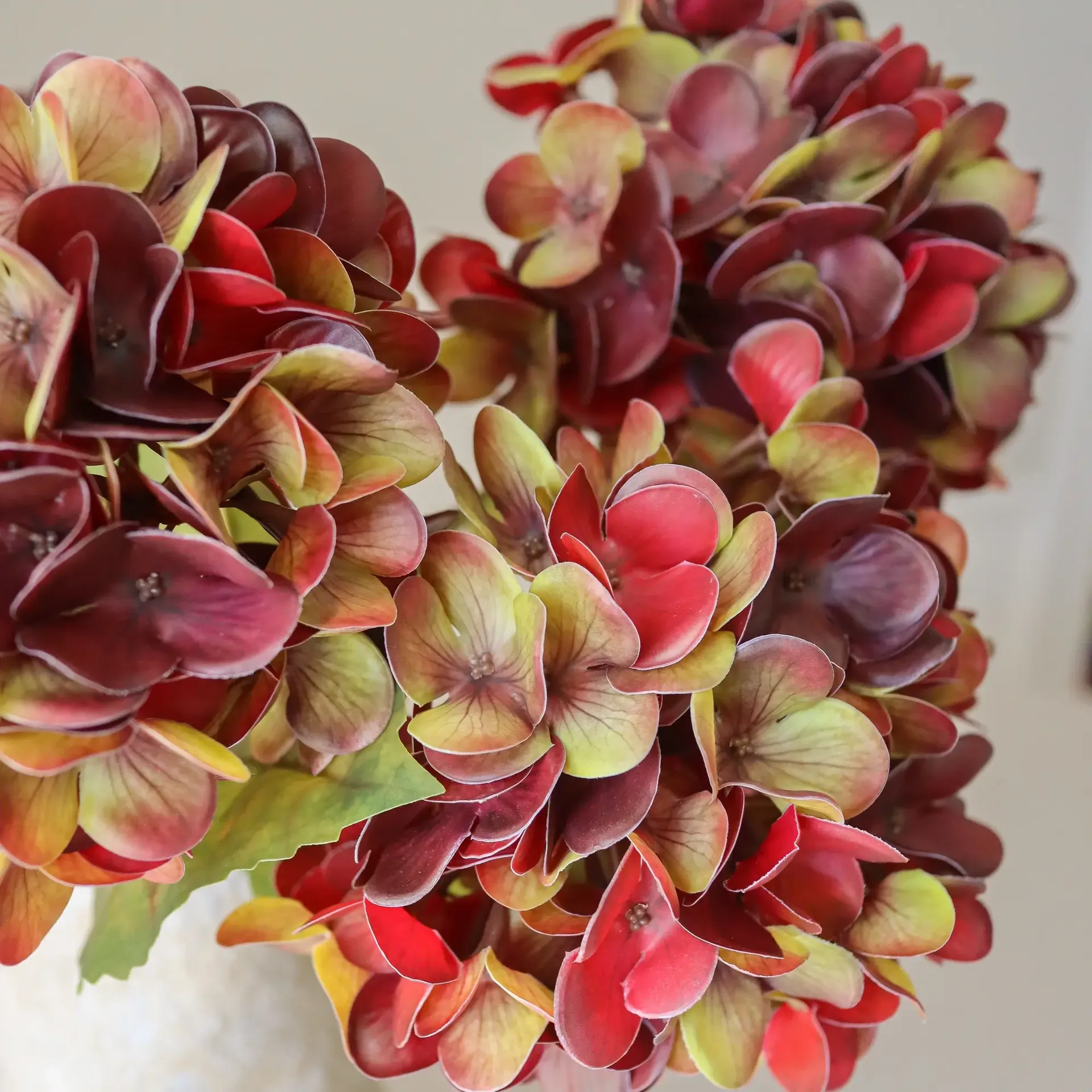 Ortensia bouquet artificiale, Bordeaux intenso, 60 cm, 6 pz Botané