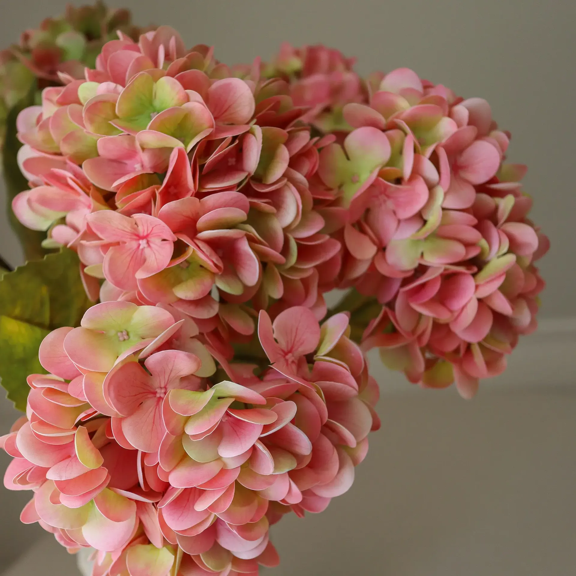 Ortensia bouquet artificiale, Rosa soft, 60 cm, 5 pz Botané