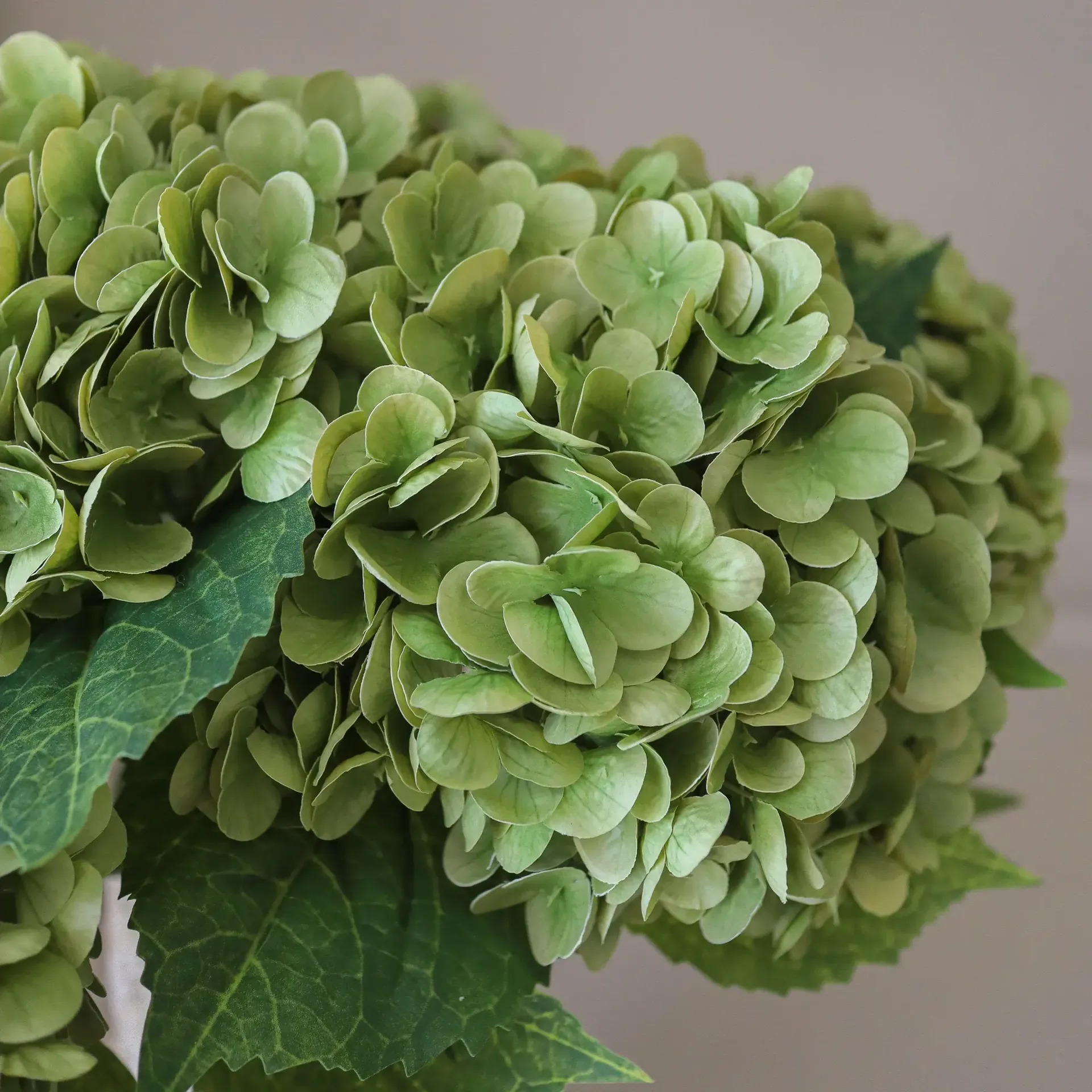 Ortensia bouquet artificiale, Verde muschio, 51 cm, 6 pz Botané