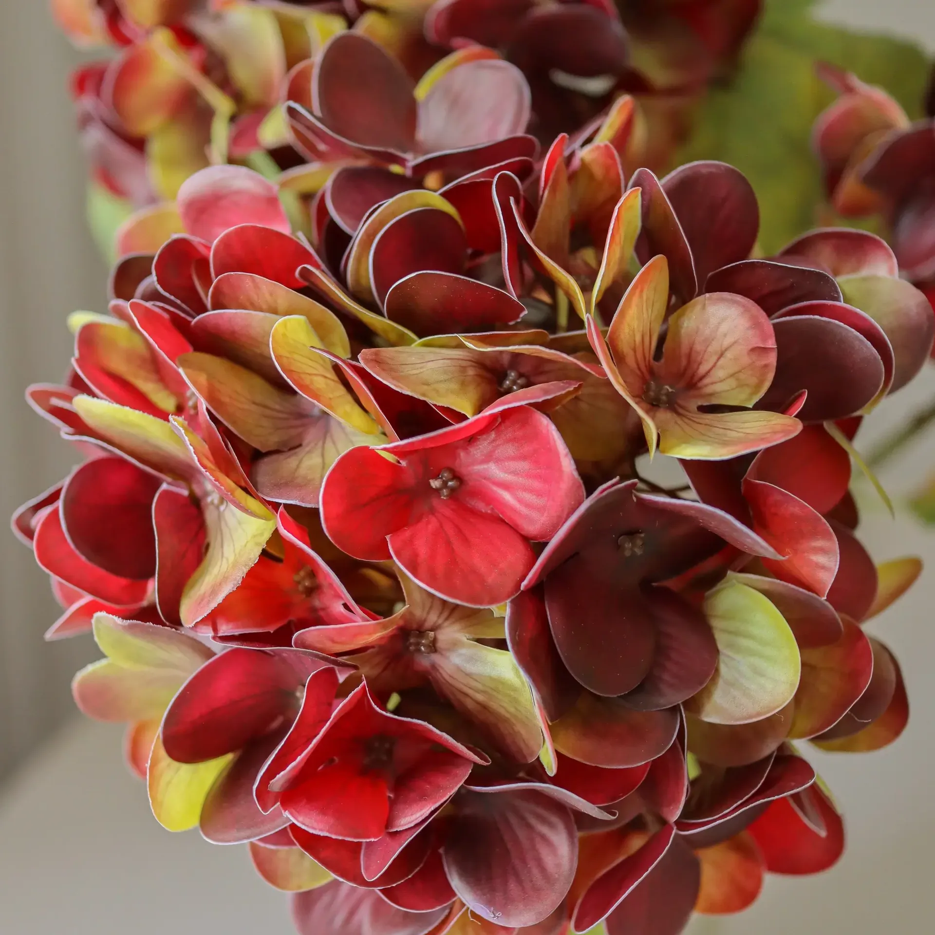 Ortensia fiore artificiale, Bordeaux scuro, 60 cm, 1 pz Botané