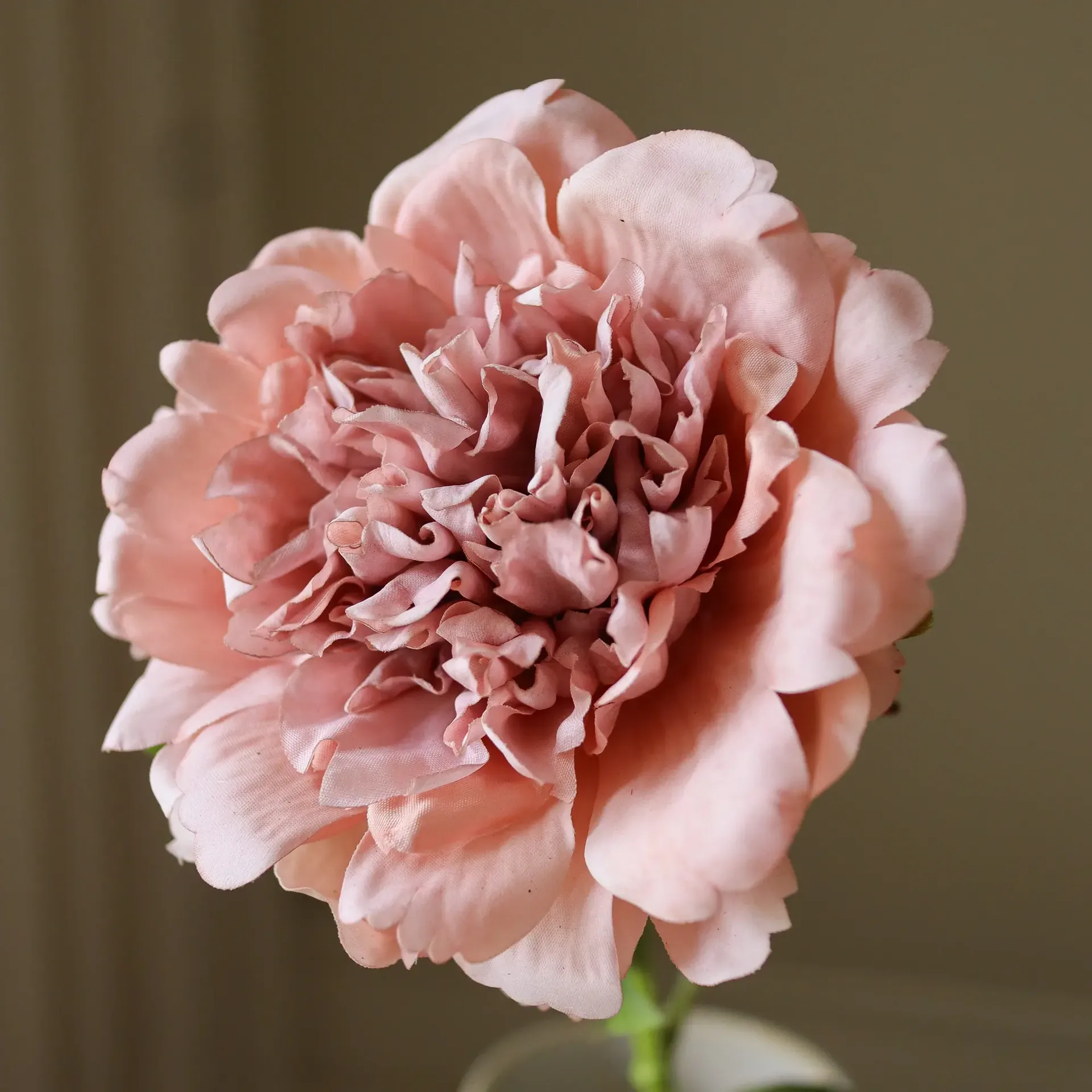 Peonia artificiale, Rosa polveroso, 56 cm, 1 pz Botané