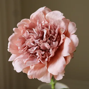 Peonia artificiale - Rosa polveroso, 56 cm, 1 pz - Botané
