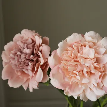 Peonie bouquet artificiale - Dusty, 5 pz - Botané