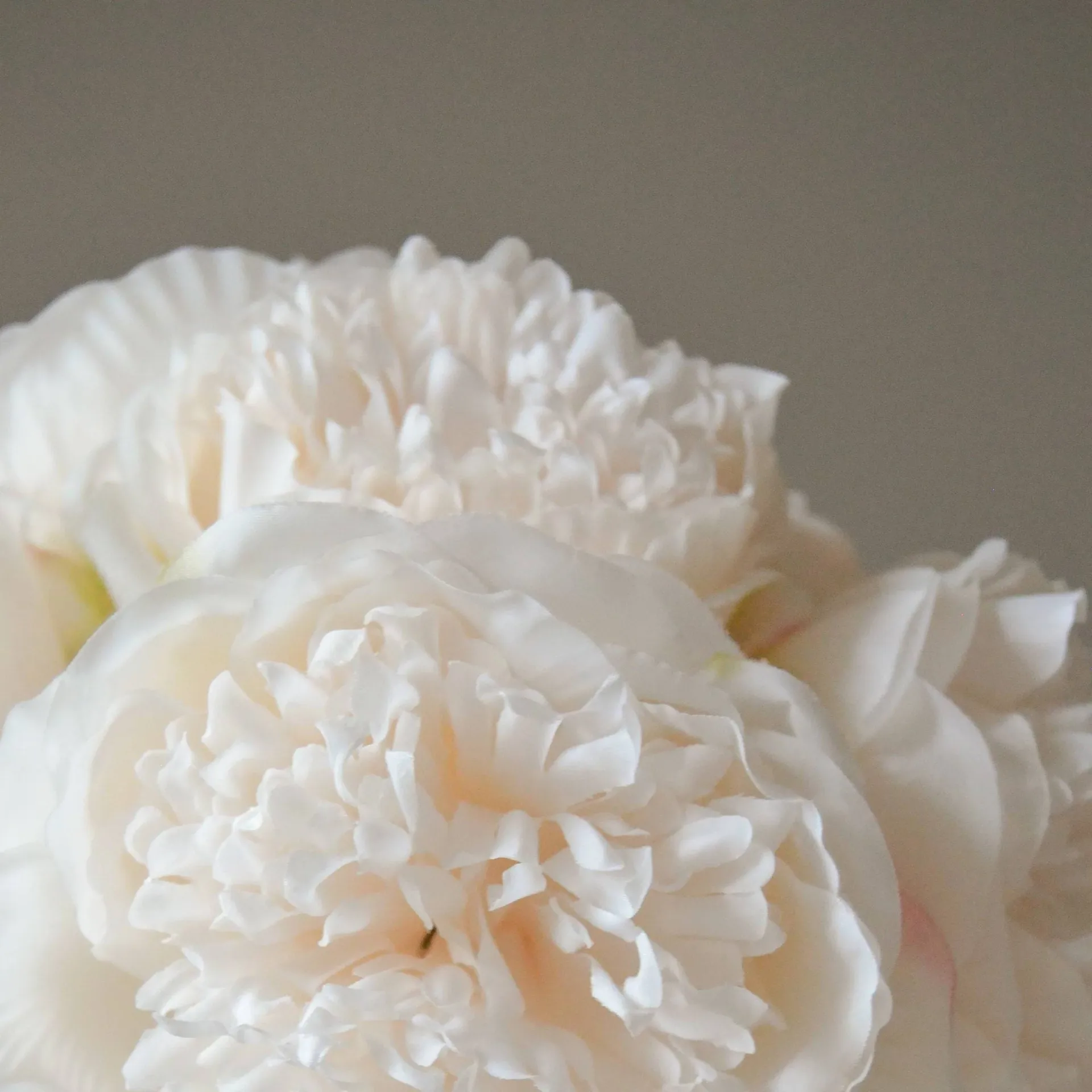 Peonie bouquet artificiale, Mini, cream 10 pz Botané