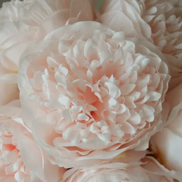 Peonie bouquet artificiale - Mini, rosa chiaro 10 ts - Botané