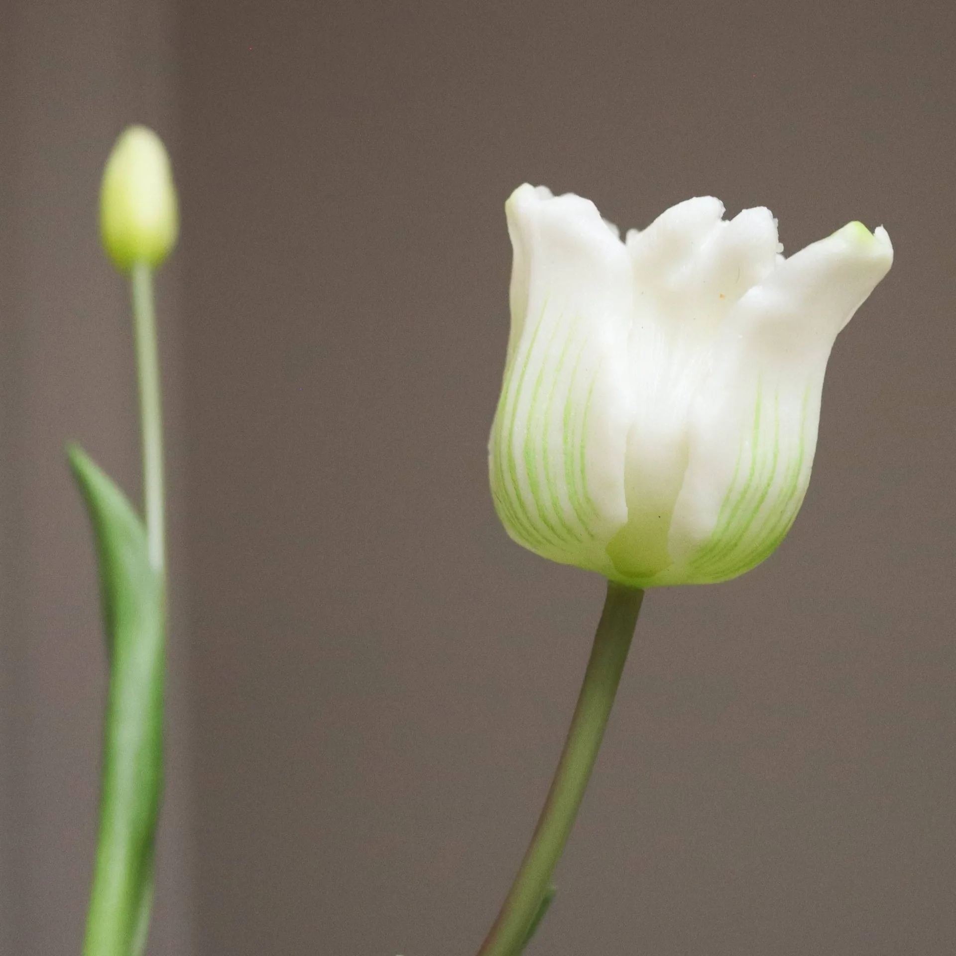 Tulipani Triumph bouquet artificiale, Bianco, 10 pz Botané