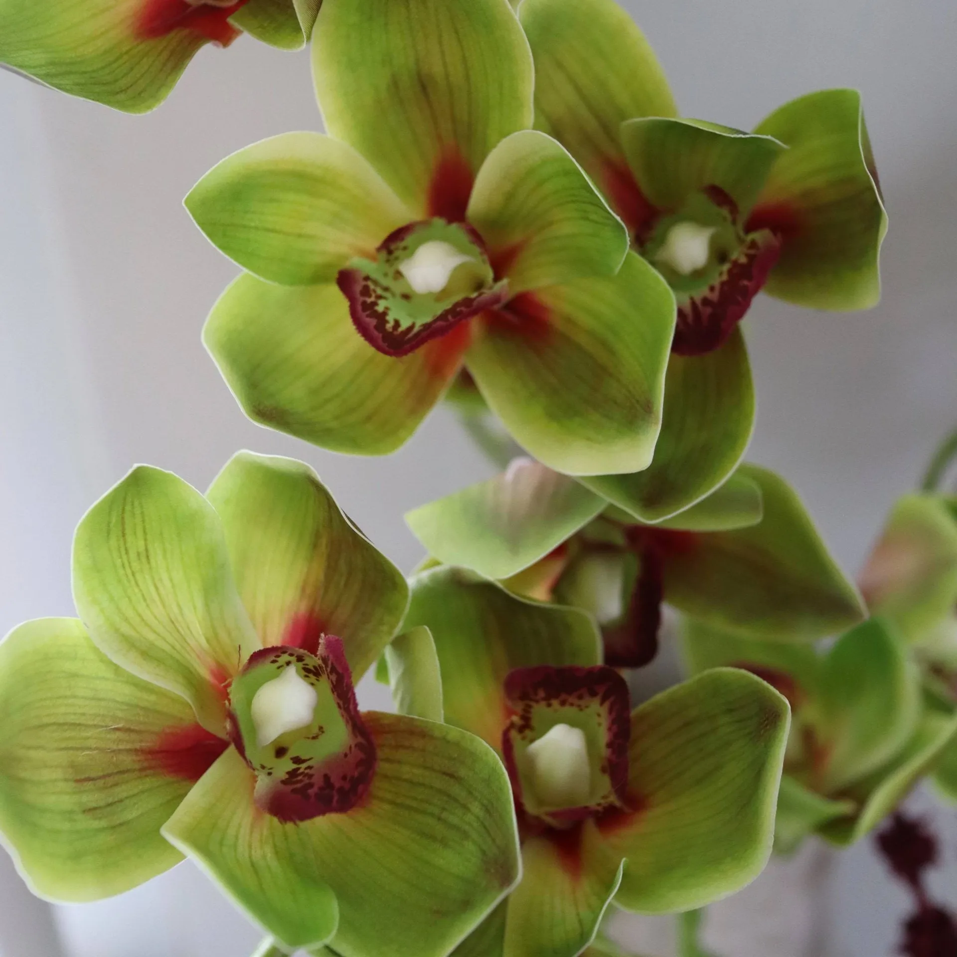 Velvet Vine bouquet artificiale, Orchidea amaranto 6 pz Botané